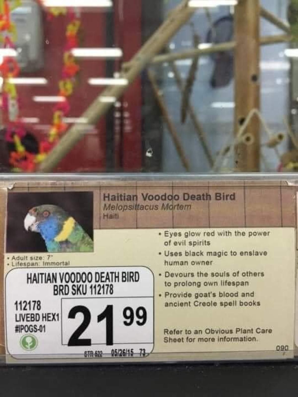 Imma get me a breeding pair