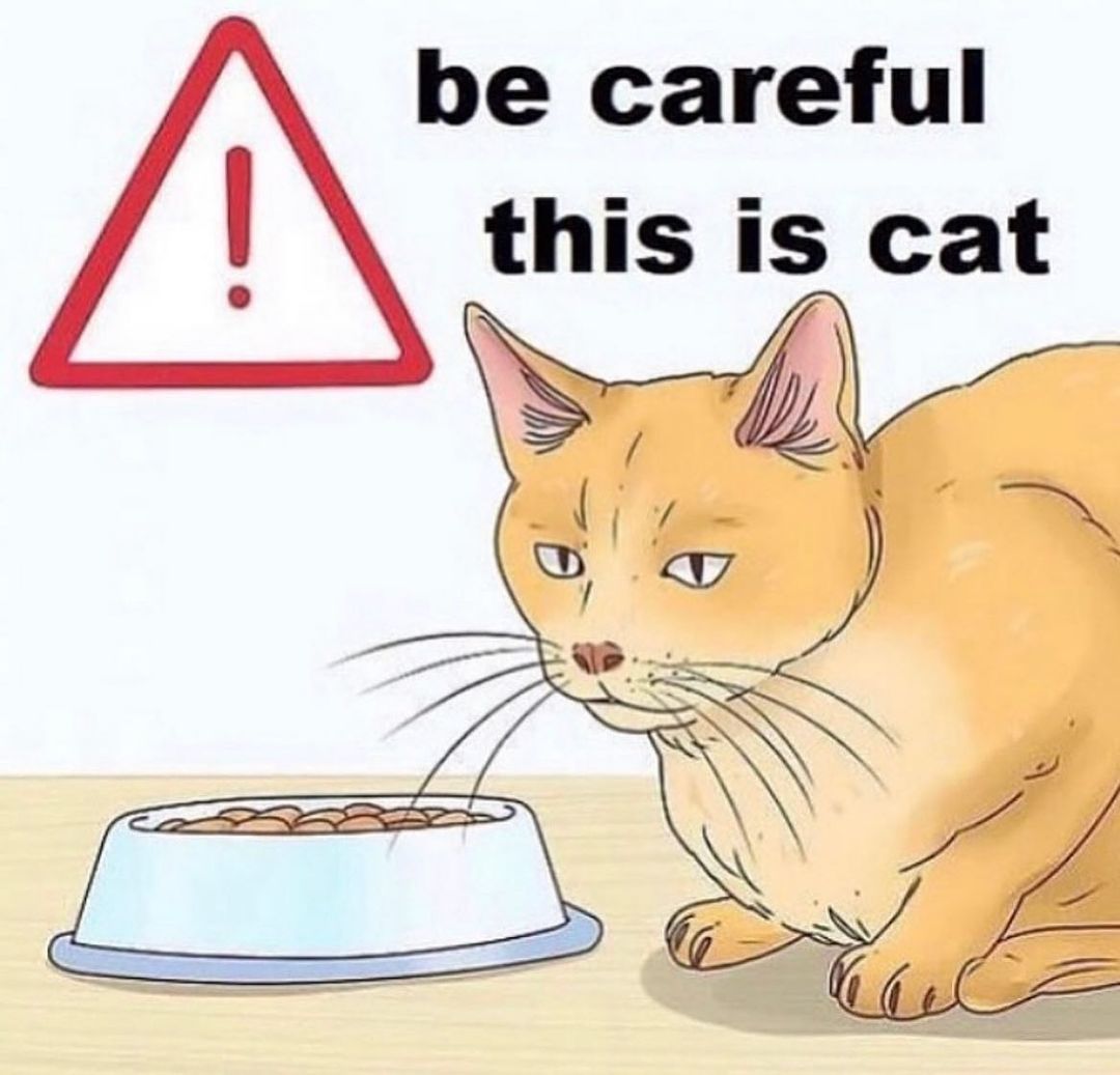 do not the cat