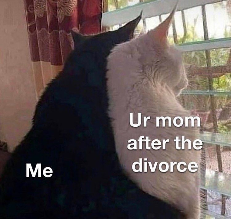 that's the truth boy
