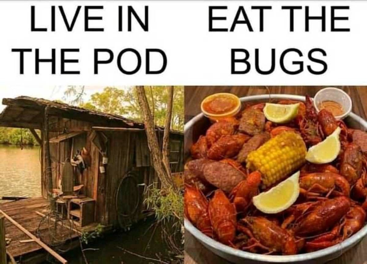 a nice life