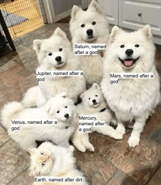 Technically Terra which means Earth but idk tbh