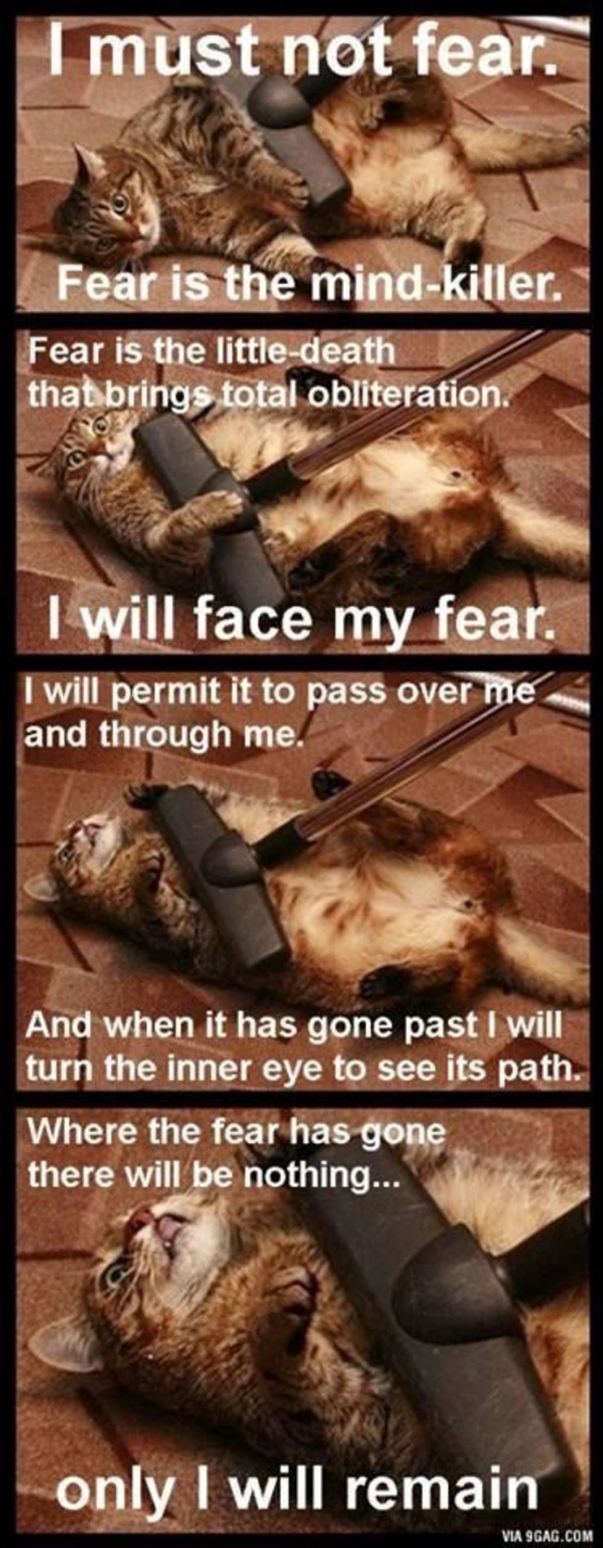only i will remain