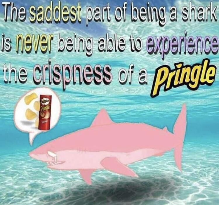 ;_;