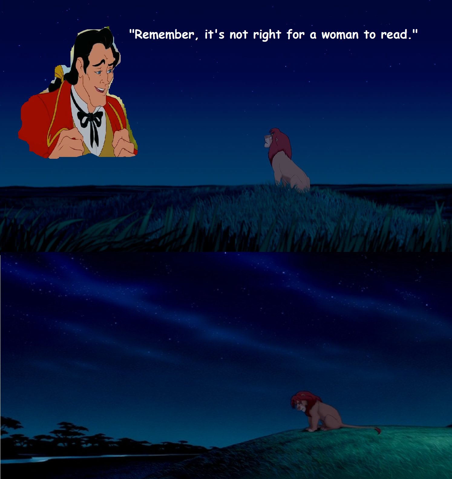 This scene from the Lion King always gets me :')