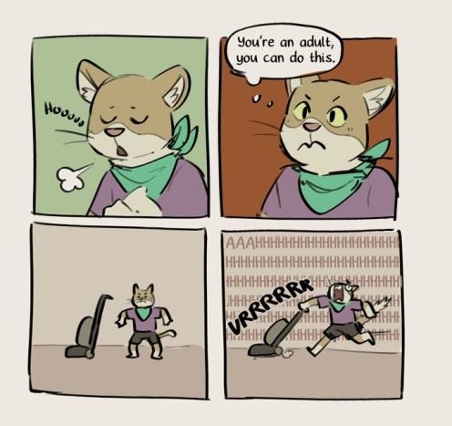 it's a joke about cats