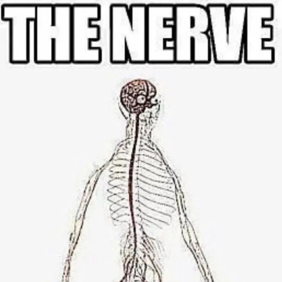 The nerve people have...