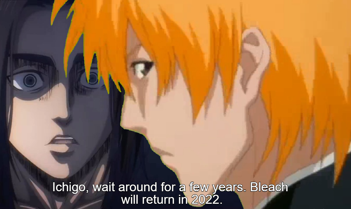 Huh, so that's why Bleach was cancelled back then