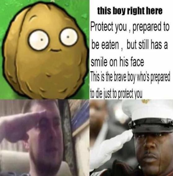 I salute you walnut