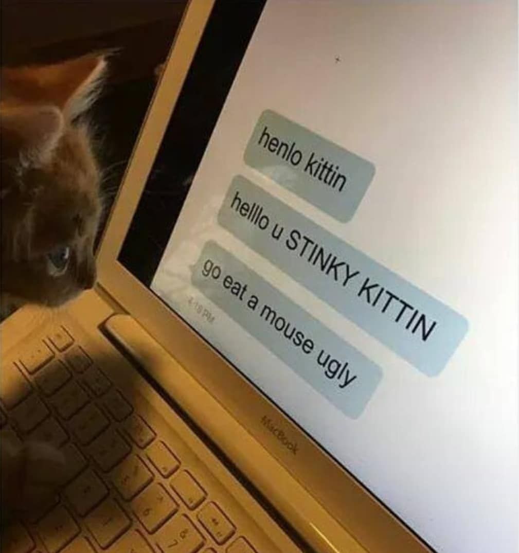 Dudder stinki katte go eat der maus