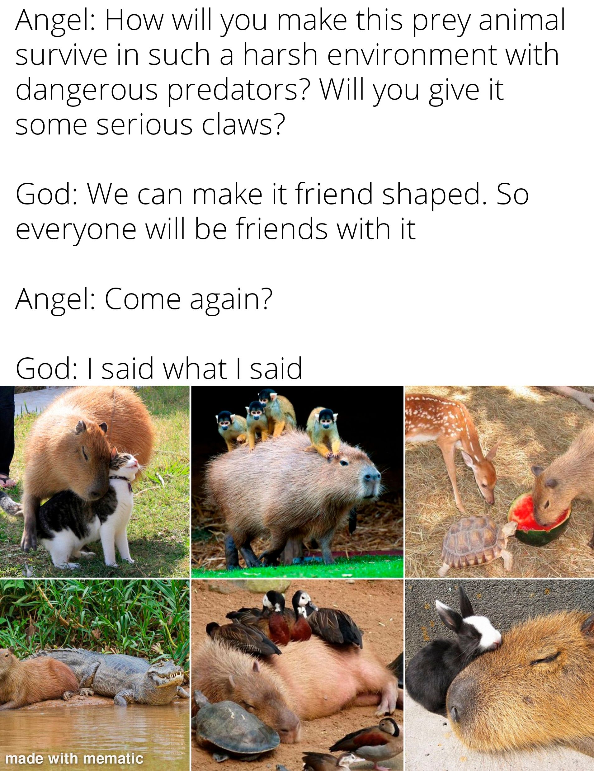 Capybaras have maxed their friendship skill
