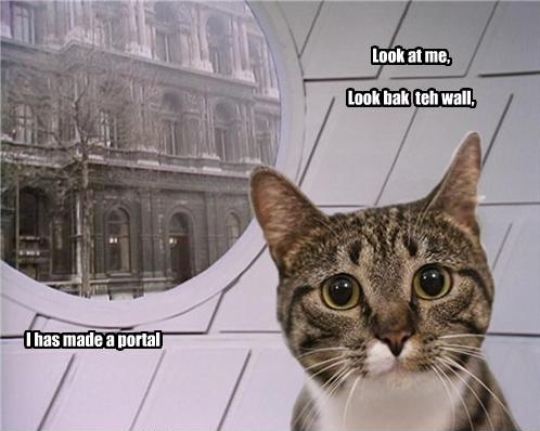 Portal kitty