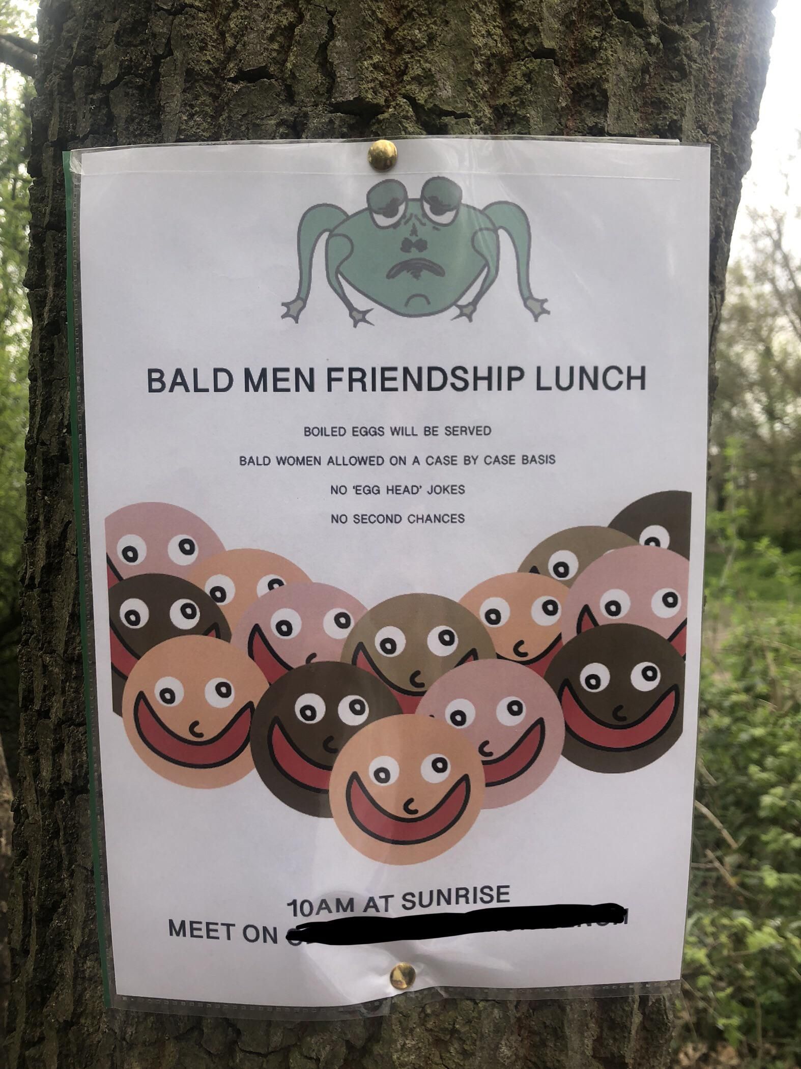 Found this in my local park today