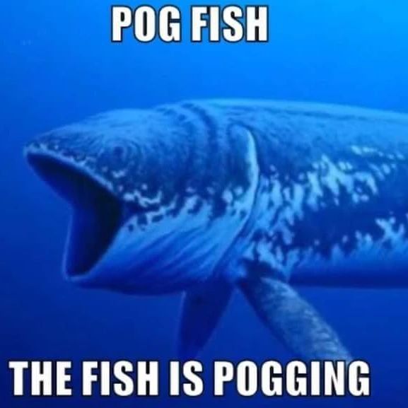 POG