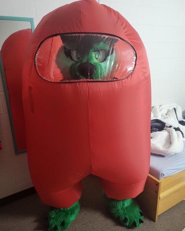 can we make a furry amongsus NFT collection?