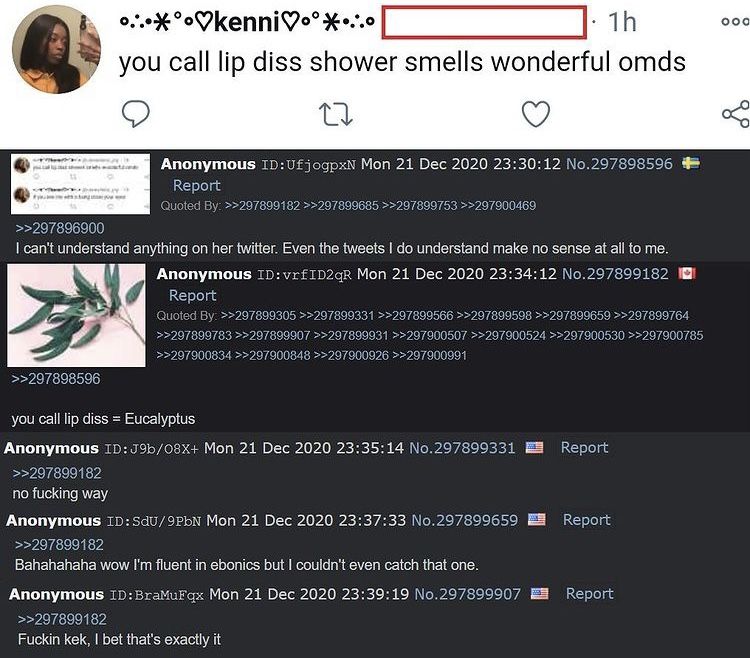 anon speaks ebonics