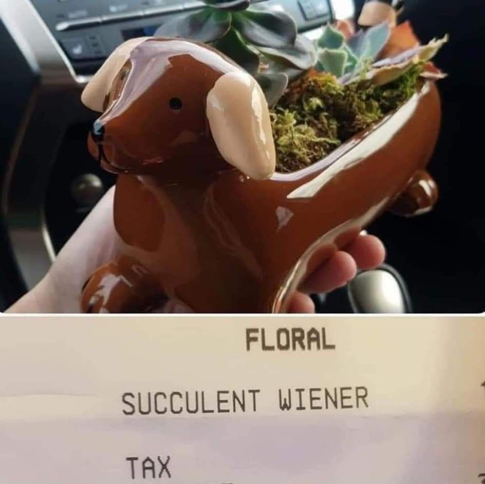 Ah, hell nah! They are taxing succulent wieners!