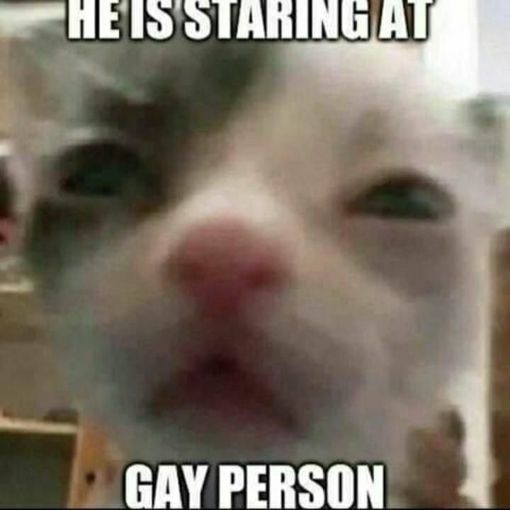 ***