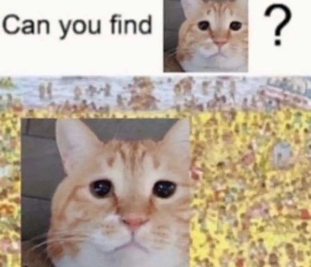 Please.. I can't find him...