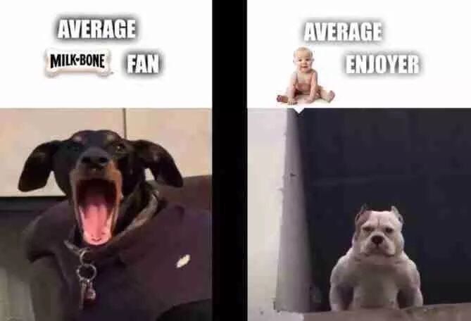 ***