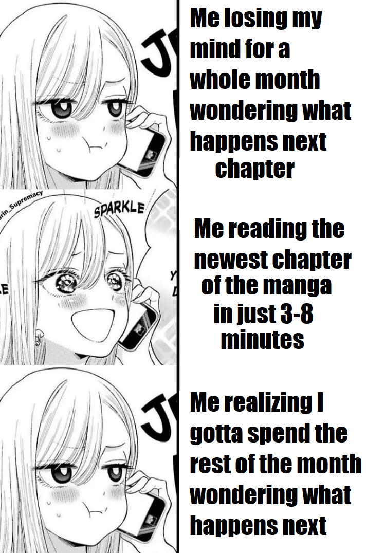 The Monthly Manga reading experience