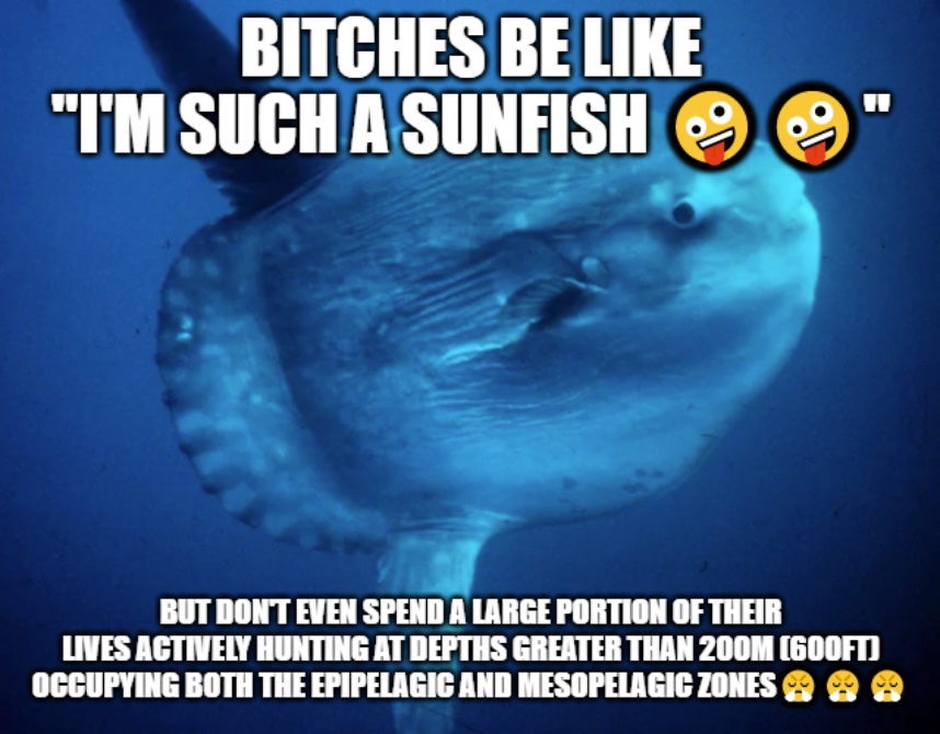 So tired of these liars ( ¬_¬ )