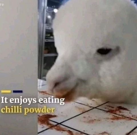 Same