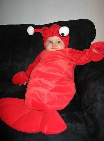 I'm a lobster now...