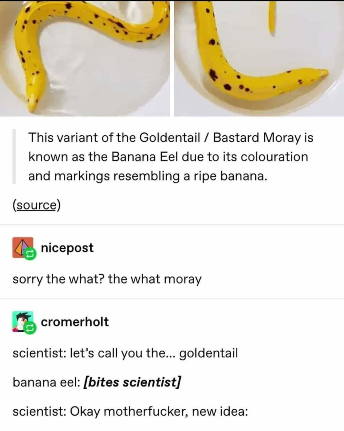banana