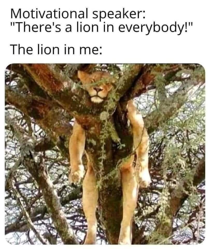 Much motivation