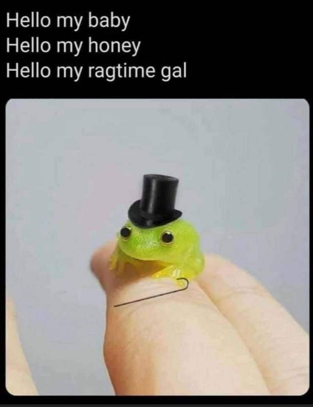 classy frog