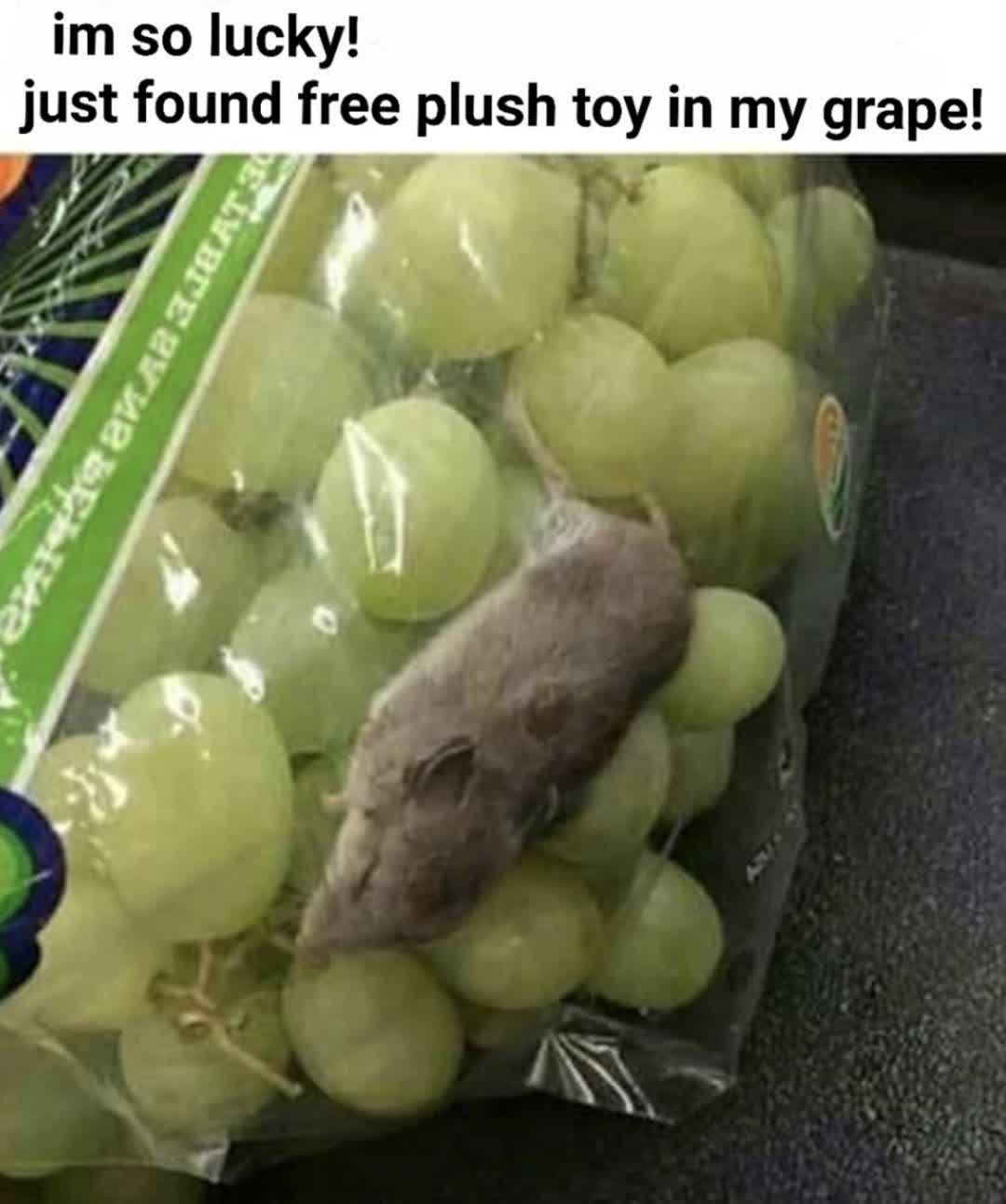 The marketing department sure did get creative