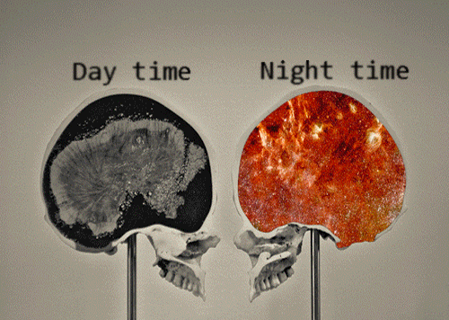 Day time/night time