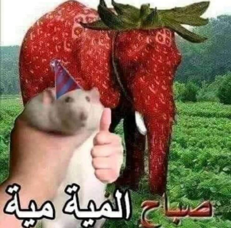 …