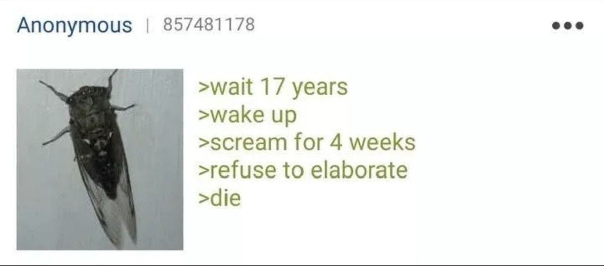 that one movie