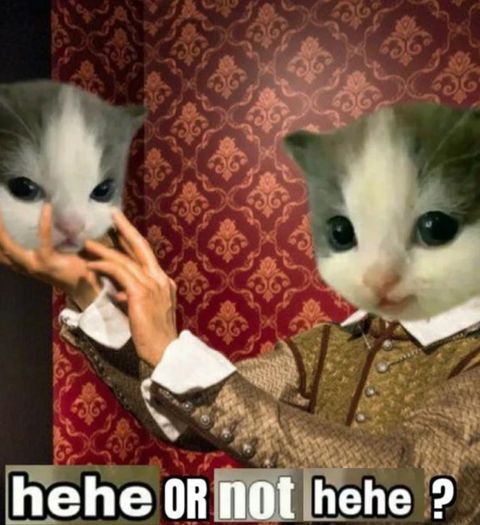 Whether 'tis danker in the mind to suffer - The shits and posts of outrageous memes