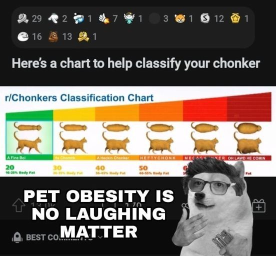 chonk
