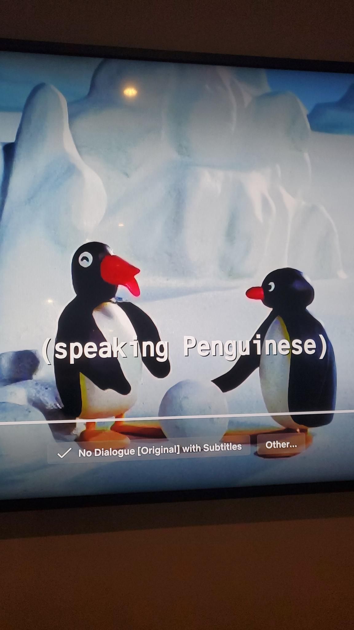 Accidentally turned on subtitles while watching Pingu