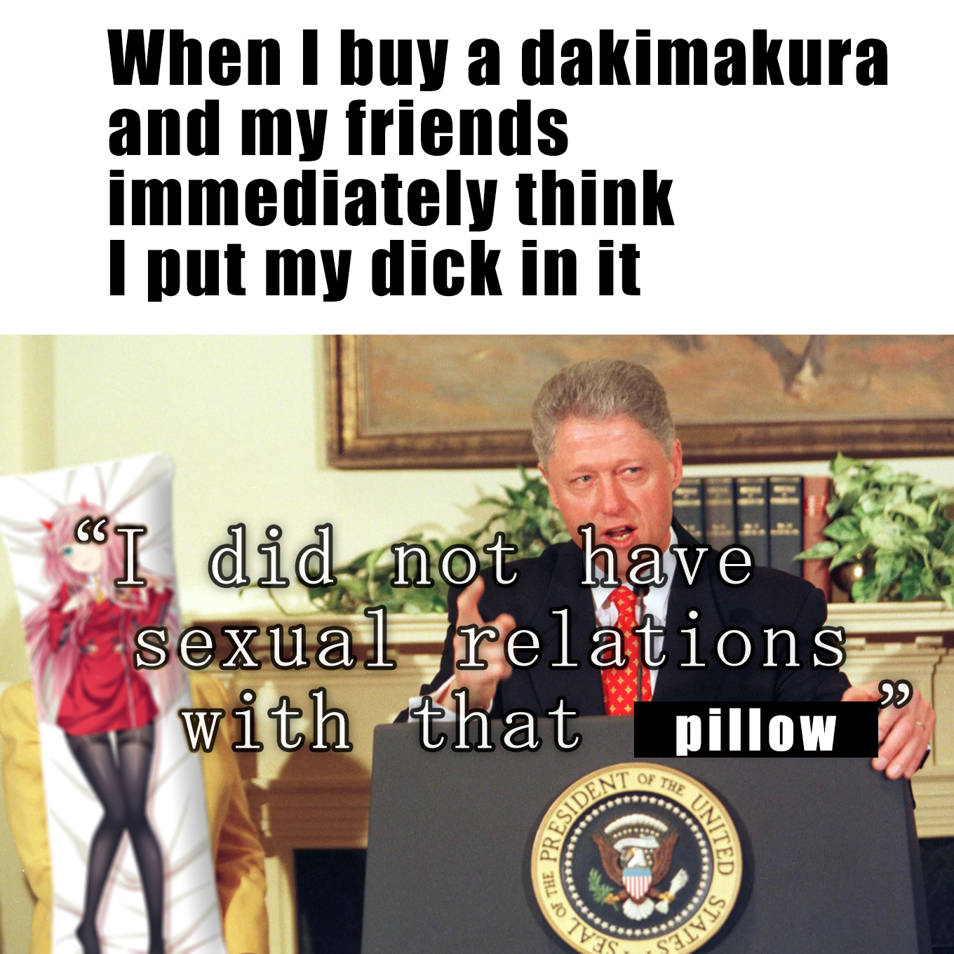 Bodypillow for the uncultured