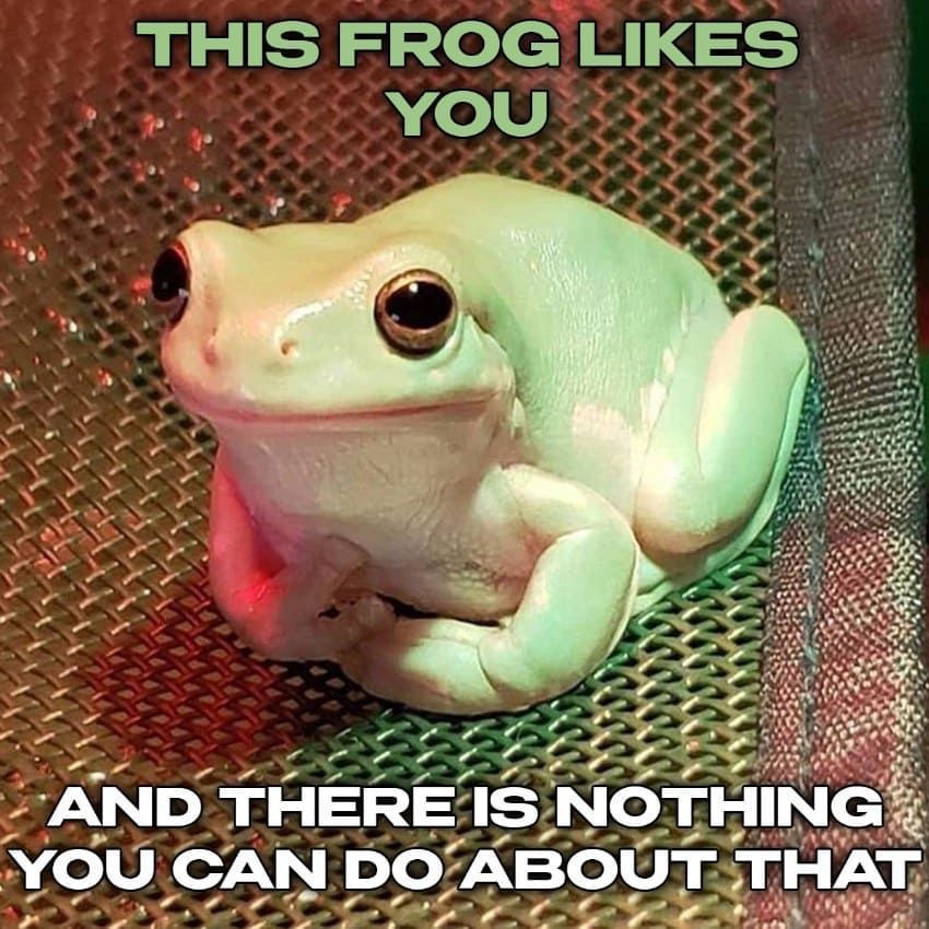 Frog posting for the frog users