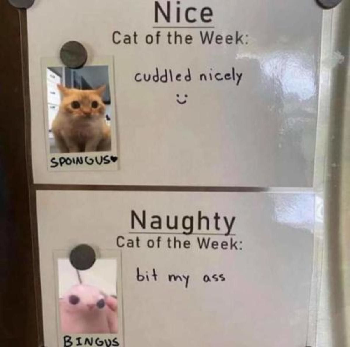 nice names