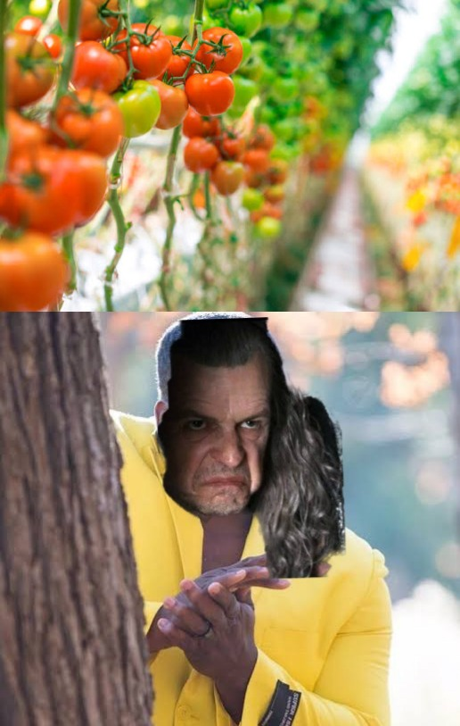 Soon
