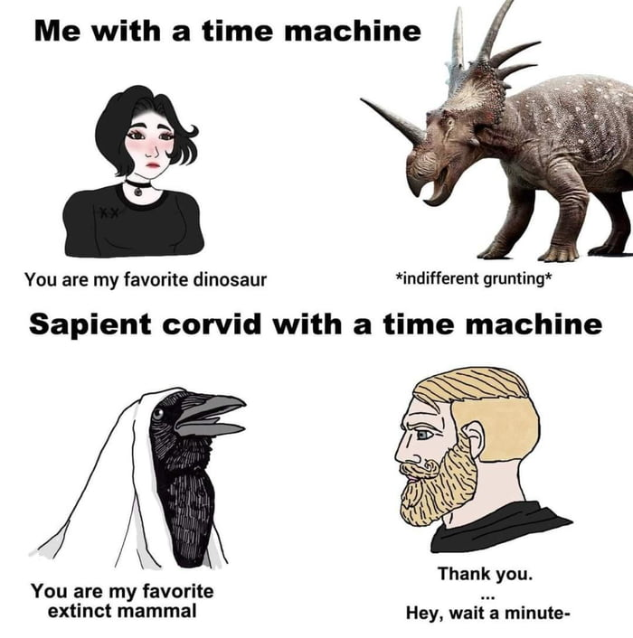 Corvid posting