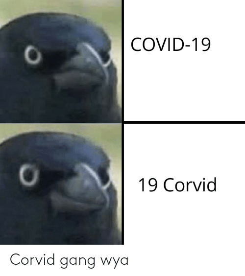 Corvid posting