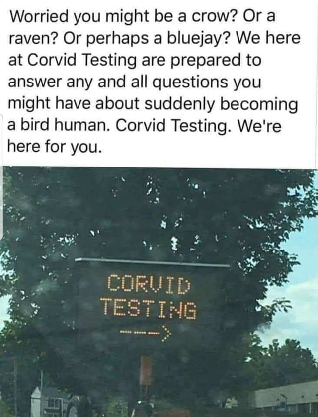 Corvid posting