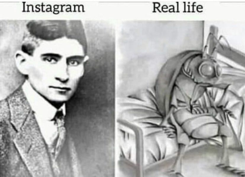 Let's see Gregor Samsa's Instagram profile