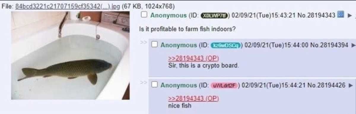 crypto fish