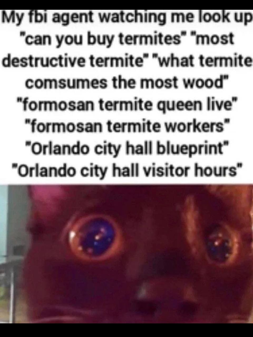 im in danger