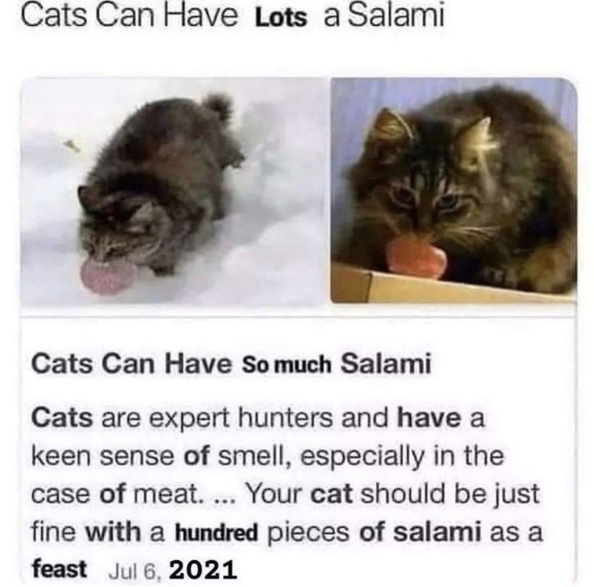 shalom
