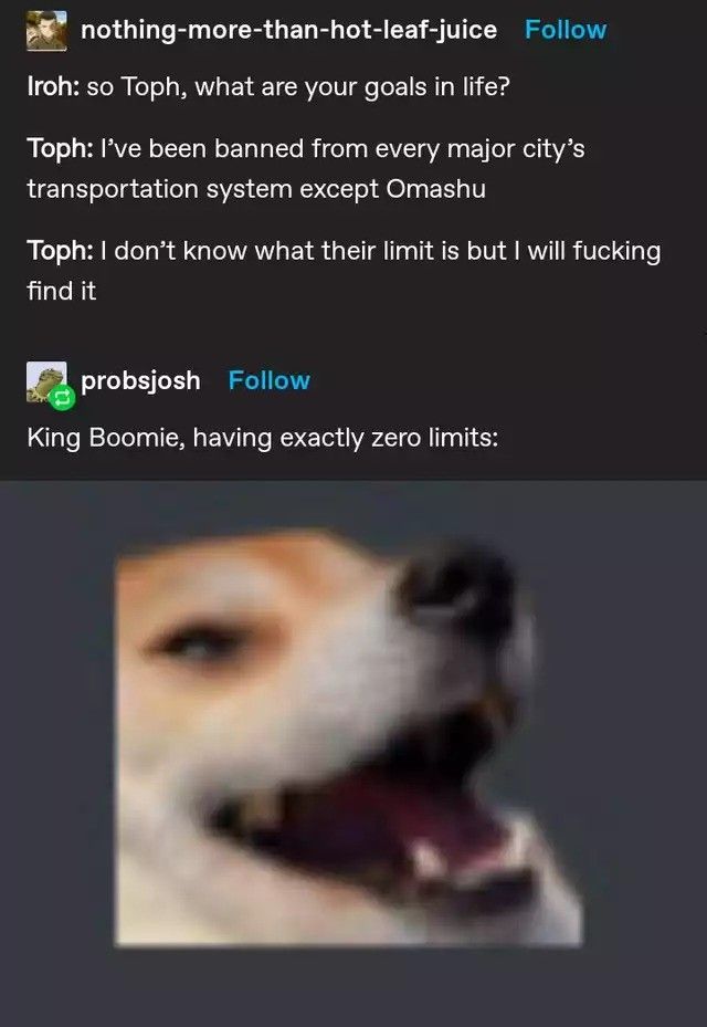 not zucest