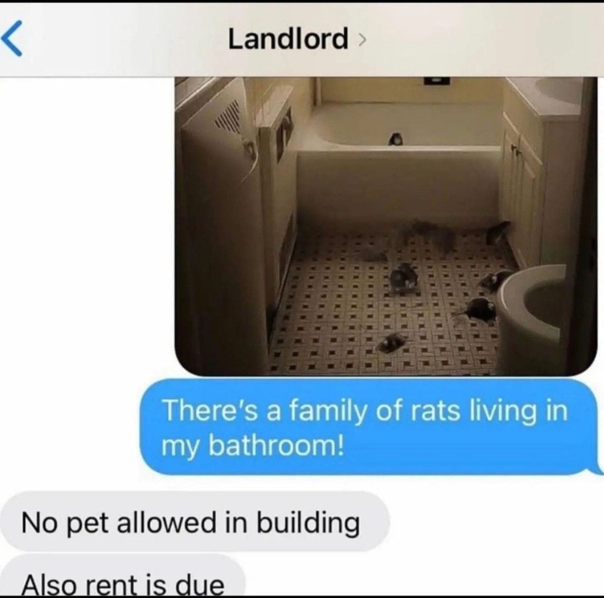 rent